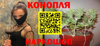 шишки Будённовск